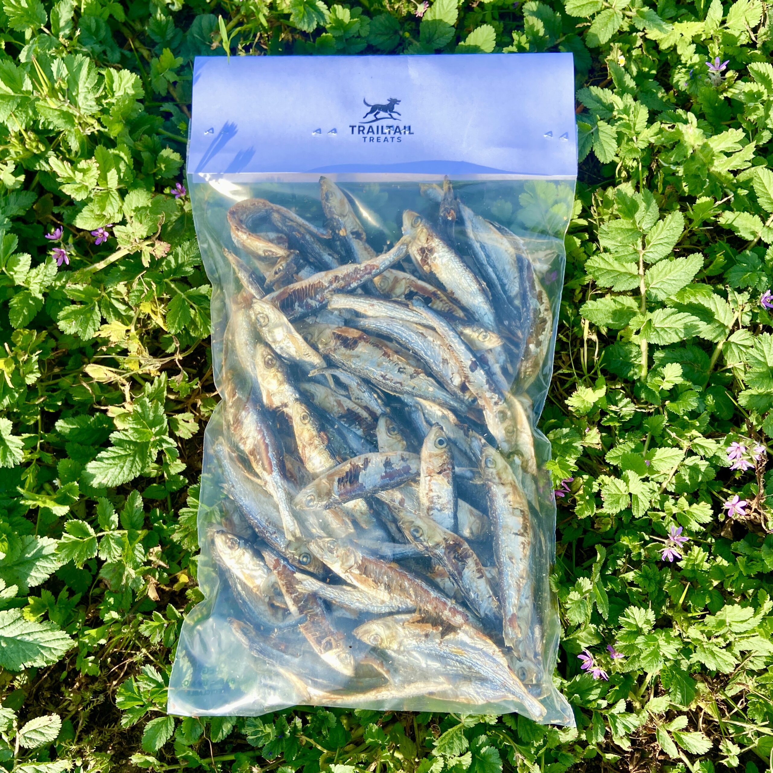 Sprat 330g Bult Trainer pack
