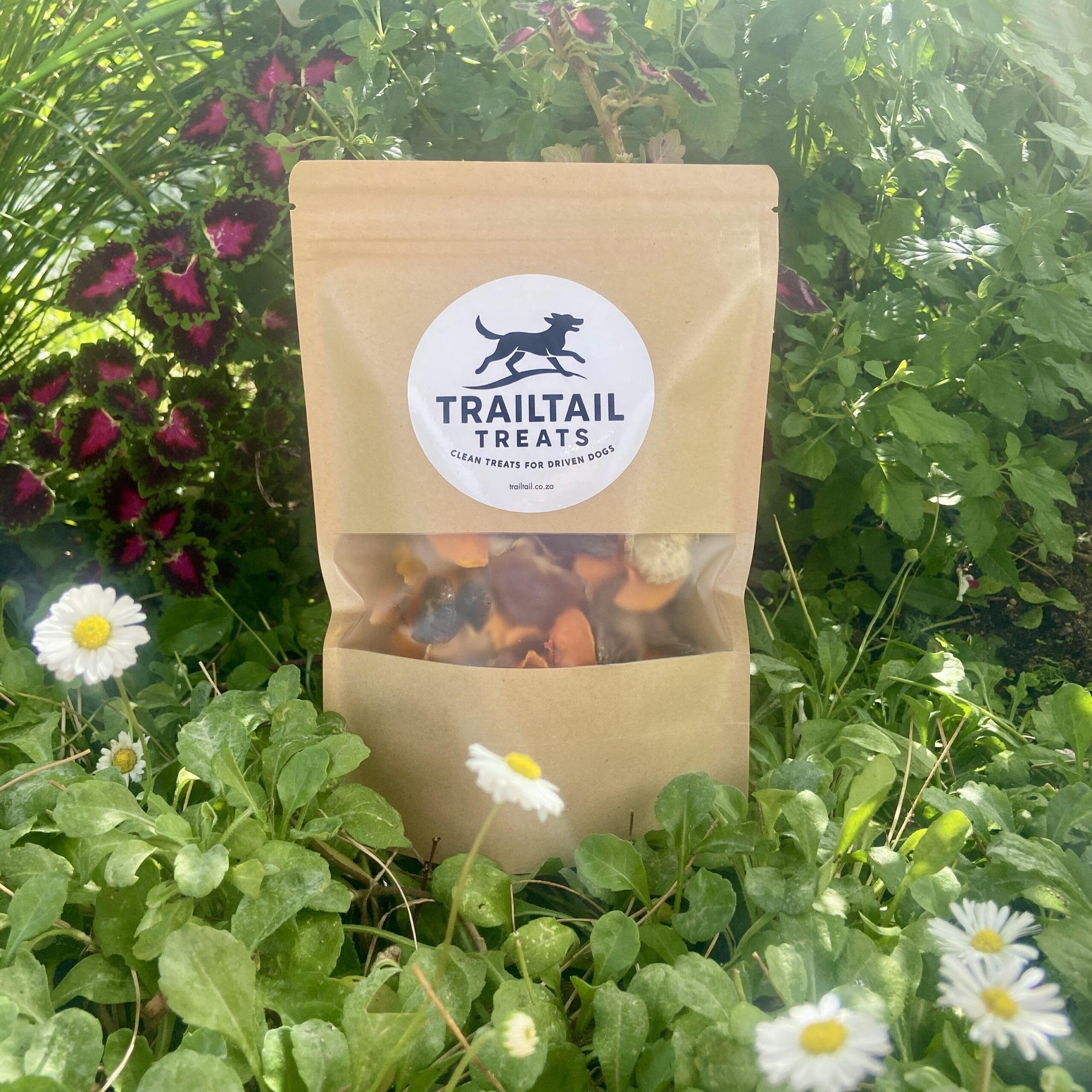 Chicken veg trail Mix 70g